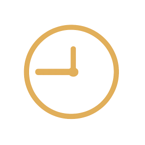 Clock icon